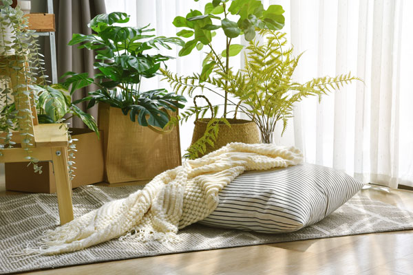 indoor air quality